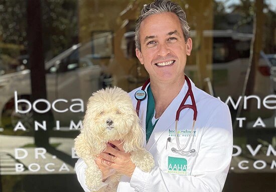 Veterinario con cane presso clinica veterinaria
