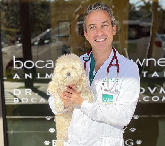 Veterinario con cane presso clinica veterinaria